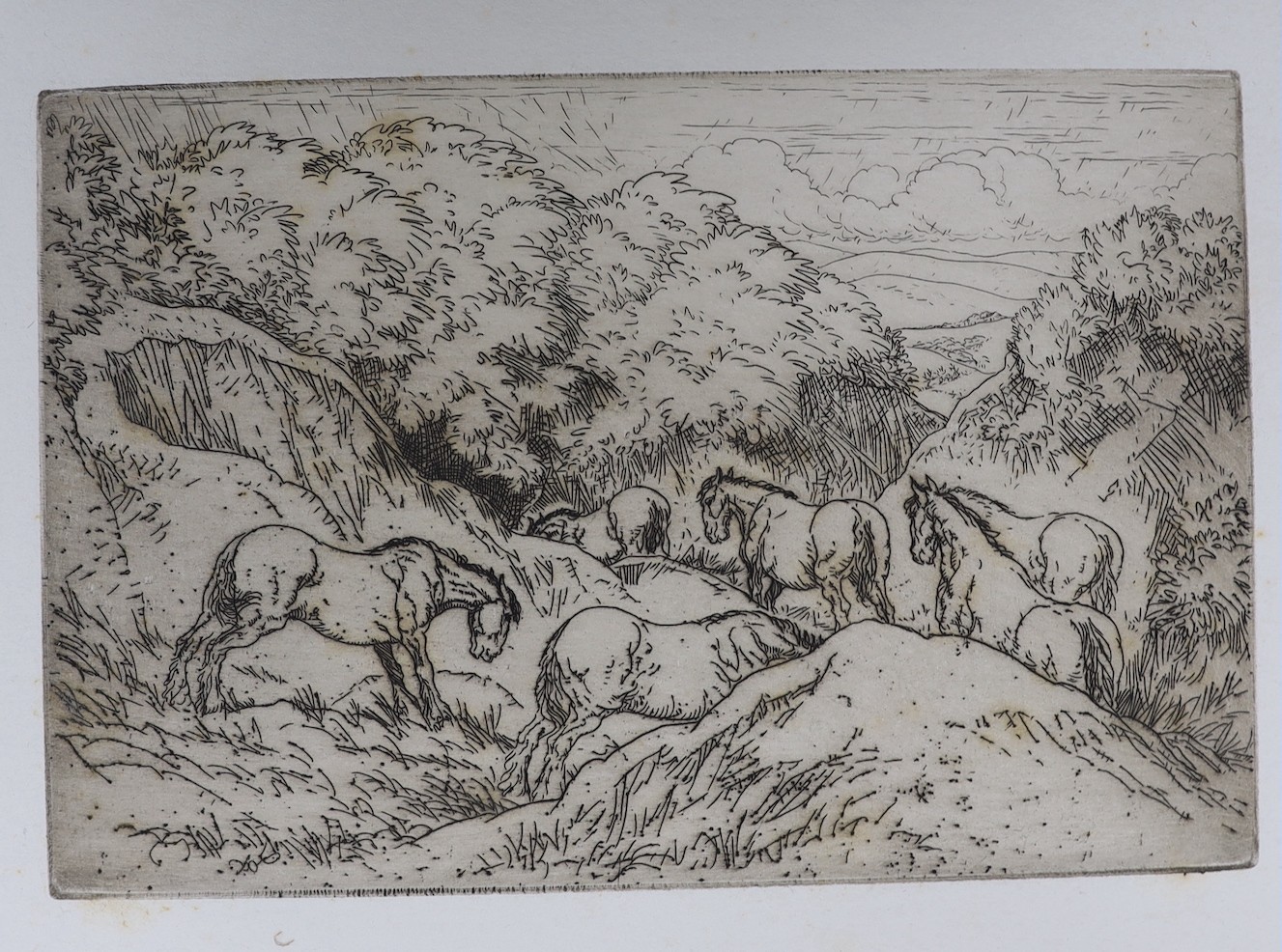 Anton Lock (1893-1979), a group of twenty five etchings, mostly equestrian studies, largest 18 x 26cm, all unframed